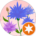 Avatar de Sandrine.