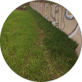 RIB Construction Management LTD - London