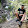 Julijan Rahahleh's profile photo