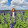 rachel cohen's profile photo