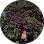 247_Luthfia Anugraha