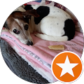 Club der Hundefreunde Achim - Achim