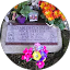 Alfredo Vega