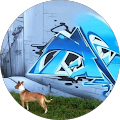 Avatar de Shine.t