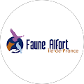 Avatar de Faune.l