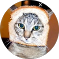 Avatar de Luca.C