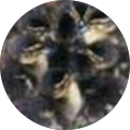 Avatar de joel.r
