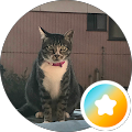 やほたろう