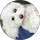 Community member