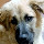 Lori's profile photo