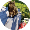 Avatar de celia.a