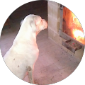 Avatar de Mhelene.i