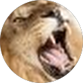 Avatar de Georges-Alexandre.n