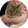 Avatar de katell.a