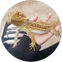 Ash Brooks profile photo