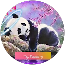 Tgs panda pl