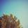nooru...@gmail.com's profile photo