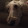 Ryan Morin's profile photo