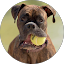 Molly Merritt Avatar