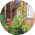 Cheetham Hill Advice Centre - Manchester
