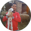 anass daoudi