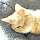 houkh...@gmail.com's profile photo