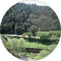 Mirvi motor, S.L. - Aiguafreda, Barcelona