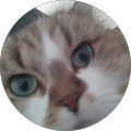 Avatar de kevin-miguel.T