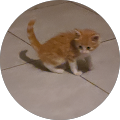 Avatar de Isabelle.e