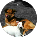 Avatar de elodie.e