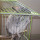 ambu calvert's profile photo