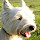 Stephen Relf's profile photo