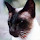Raymond Griggs's profile photo