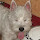 Alexey Abashev's profile photo