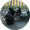 User profile - Melissa Fingar.