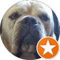 Reviewer Image