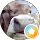 Tobias Przybilla profile picture