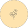 poppy