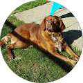 Avatar du profil de Sabrina