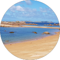 Avatar de Cécile.E
