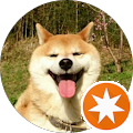 raichan shibainu