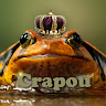 Photo de Crapou