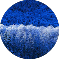 Avatar de Guillaume.O