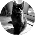 Avatar de Siméon.e