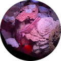 reviewer image