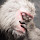 bigcl...@gmail.com's profile photo