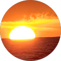 H McG_image