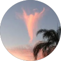 Avatar de Gil.i