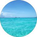 Leumas R