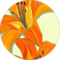 Community member